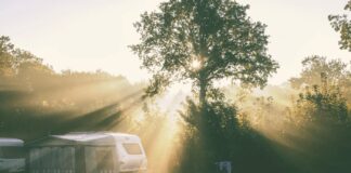 Camping Woud in het hart van het Texelse bos Camping Woud Texel