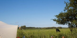 De Oerol 2017 camping de Kooi Terschelling Oerol camping de Kooi