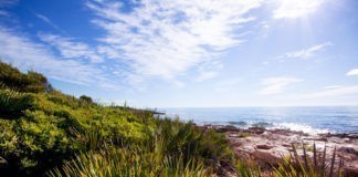 Camping Ribamar Sierra de Irta Camping Ribamar