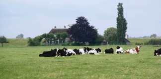 Kamperen op de boerderij één groot vermaak srv