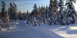 ANWB Alarmcentrale het wintersportseizoen is begonnen Wintersportongevallen