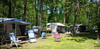 Camping Fazantenhof in de bossen van de Utrechtse Heuvelrug Fazantenhof