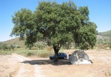 Quinta do Pomarinho, overwintercamping met rust, ruimte en natuur Quinta do Pomarinho