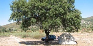 Quinta do Pomarinho, overwintercamping met rust, ruimte en natuur Quinta do Pomarinho