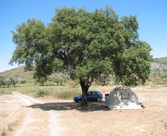 Quinta do Pomarinho, overwintercamping met rust, ruimte en natuur Quinta do Pomarinho