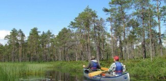 Camping Johannisholm Adventure Stugby, gelegen bij het Venjanmeer Johannisholms Stugby