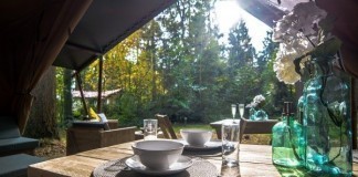 Camping De Vossenberg in de Veluwse bossen Camping De Vossenberg