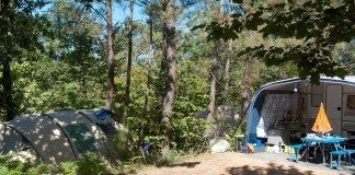 Camping Le Clou ligt in een klein dorpje in de Périgord Noir Camping Le Clou