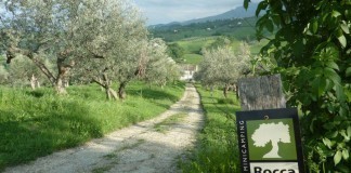 Camping Rocca Di Sotto rust, ruimte, privacy en genieten van de natuur Rocca-di-Sotto