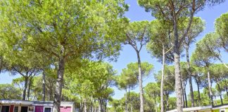 Camping Cypsela Resort aan de Costa Brava Camping Cypsela Resort