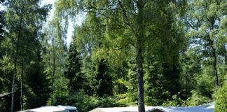 Camping de Paalberg midden tussen bos en hei Camping de Paalberg
