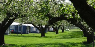 Camping Buitengoed de Boomgaard Buitengoed de Boomgaard