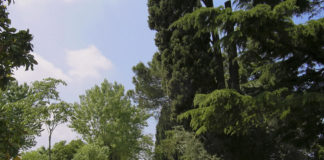 Camping Bella Italia aan het Gardameer Camping Bella Italia