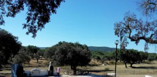 Camping Alentejo bij Évoramonte Camping Alentejo