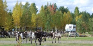 Camping Söralvens Fiske & Stugby Camping Söralvens Fiske