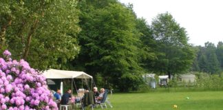 Camping Eelerberg een oase van rust Camping Eelerberg