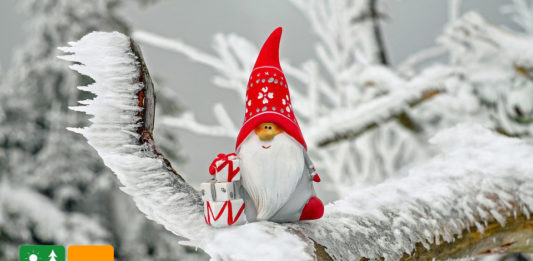 Fijne feestdagen Fijne feestdagen