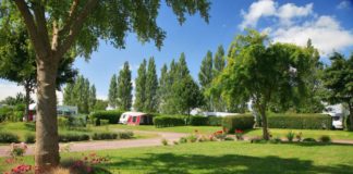 Camping Haliotis met bloemrijke context Camping Haliotis