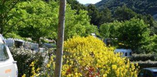 Zilvertrek caravanclub jij bepaalt Zilvertrek caravanclub