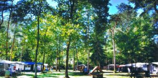 Campings van het Jaar 2018 Campings van het Jaar 2018