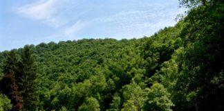 Camping Strotzbüscher Mühle Camping Strotzbüscher Mühle