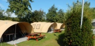 Camping De Nollen aan de kust Camping De Nollen