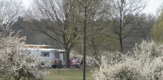 Camping De Roos een harmonieuze sfeer Camping De Roos