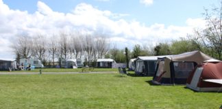 Camping Koegras in Julianadorp camping Koegras