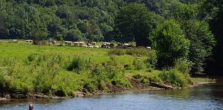 Camping Pont de Deulin knus en gezellig Camping Pont de Deulin