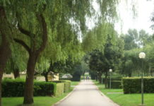 Camping Belle-Vue 2000 in het hartje van Klein Zwitserland Camping Belle-Vue 2000