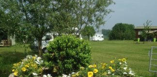 Camping de Muk in Maas en Waal camping de Muk