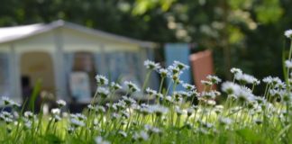 Camping De Geffense Berg rust en gastvrijheid Camping De Geffense Berg