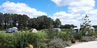 Camping de Rozehoeve op de Veluwe Camping De Rozehoeve