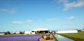 Camptoo organiseert unieke pop-up camping in de bollenvelden camptoo microkamperen