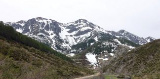 Daling verkoop nieuwe campers campers