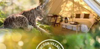 Cocoon Village – Domein van de Grotten van Han Cocoon Village – Domein van de Grotten van Han