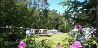 Camping Ommerland vakantie in het bos Camping Besthmenerberg