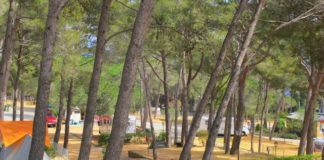 Camping Internacional de Calonge een echte familiecamping Camping Internacional de Calonge