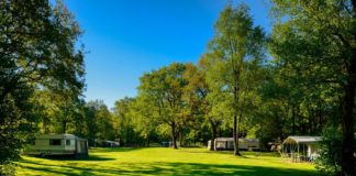 Camping de Berenkuil faciliteiten voor jong en oud Camping de Berenkuil