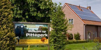 Camping Pitteperk staat voor zinvol werk en een warm hart Mini camping Pitteperk