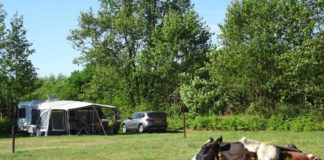 Camping de Blökke in de Achterhoek camping blokke