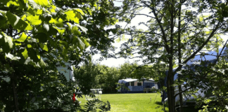 Camping Lieftink in een rustige landelijke omgeving Camping Lieftink