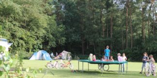 Camping het Speulderbos op de Veluwe het speulderbos