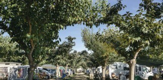 Camping La Gaviota aan het strand van Sant Pere Pescador Camping La Gaviota