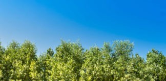 Uniek verblijven vlakbij het centrum van Knokke