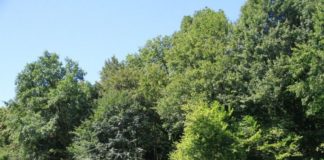 Alle Trekkershutten op vernieuwde overzichtskaart trekkerhut