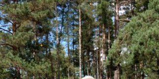 Camping Moulin de Lacombe terug in de stilte Camping Moulin de Lacombe