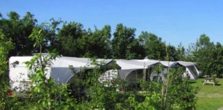 Camping Half-Hichtum een prachtige boerencamping Half-Hichtum