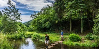 Prachtige wandelroutes in het Noordelijke Zwarte Woud Zwarte Woud
