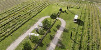 Vakantie tussen de wijnstokken Vakantie tussen de wijnstokken